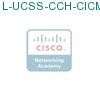 L-UCSS-CCH-CICM1-1 подробнее