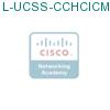 L-UCSS-CCHCICM1M-1 подробнее