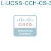 L-UCSS-CCH-CS-3-1 подробнее