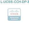 L-UCSS-CCH-DP-3-1 подробнее