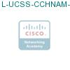 L-UCSS-CCHNAM-1M-1 подробнее