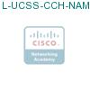 L-UCSS-CCH-NAM-3-1 подробнее