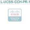 L-UCSS-CCH-PR-1-1 подробнее