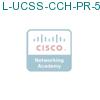 L-UCSS-CCH-PR-5-1 подробнее