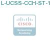 L-UCSS-CCH-ST-1-1 подробнее
