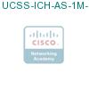 UCSS-ICH-AS-1M-1 подробнее