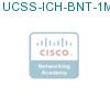 UCSS-ICH-BNT-1M-1 подробнее