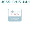 UCSS-ICH-IV-1M-1 подробнее