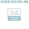 UCSS-ICH-PG-1M-1 подробнее