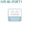 IVR-60-PORT1 подробнее