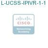 L-UCSS-IPIVR-1-1 подробнее