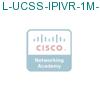 L-UCSS-IPIVR-1M-1 подробнее
