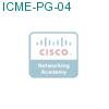 ICME-PG-04 подробнее