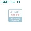 ICME-PG-11 подробнее