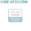 ICME-SFDCCRM подробнее