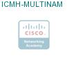 ICMH-MULTINAM подробнее