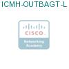 ICMH-OUTBAGT-L подробнее