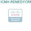 ICMH-REMEDYCRM подробнее