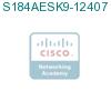 S184AESK9-12407 подробнее