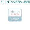 FL-INTVVSRV-3825 подробнее