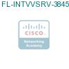 FL-INTVVSRV-3845= подробнее