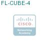 FL-CUBE-4 подробнее