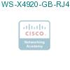 WS-X4920-GB-RJ45= подробнее