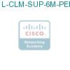 L-CLM-SUP-6M-PERP= подробнее