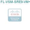 FL-VSM-SRE9-VM= подробнее