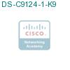 DS-C9124-1-K9 подробнее