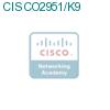 CISCO2951/K9 подробнее