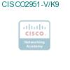 CISCO2951-V/K9 подробнее