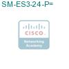SM-ES3-24-P= подробнее
