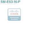 SM-ES3-16-P подробнее