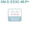 SM-D-ES3G-48-P= подробнее