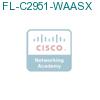 FL-C2951-WAASX подробнее