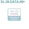 SL-29-DATA-K9= подробнее