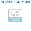 SL-29-SECNPE-K9 подробнее