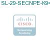 SL-29-SECNPE-K9= подробнее