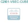 C2901-VSEC-CUBE/K9 подробнее