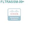 FLTRASSM-09= подробнее