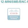 12-MINISMB/BNC-F подробнее