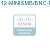 12-MINISMB/BNC-M подробнее