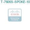 T-7606S-SPOKE-10G подробнее