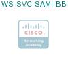 WS-SVC-SAMI-BB-K9 подробнее