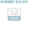 S12KK5Z-12.0.31S подробнее