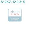 S12KZ-12.0.31S подробнее