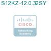 S12KZ-12.0.32SY подробнее