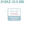 S12KZ-12.0.33S подробнее