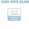 12000-WIDE-BLANK= подробнее